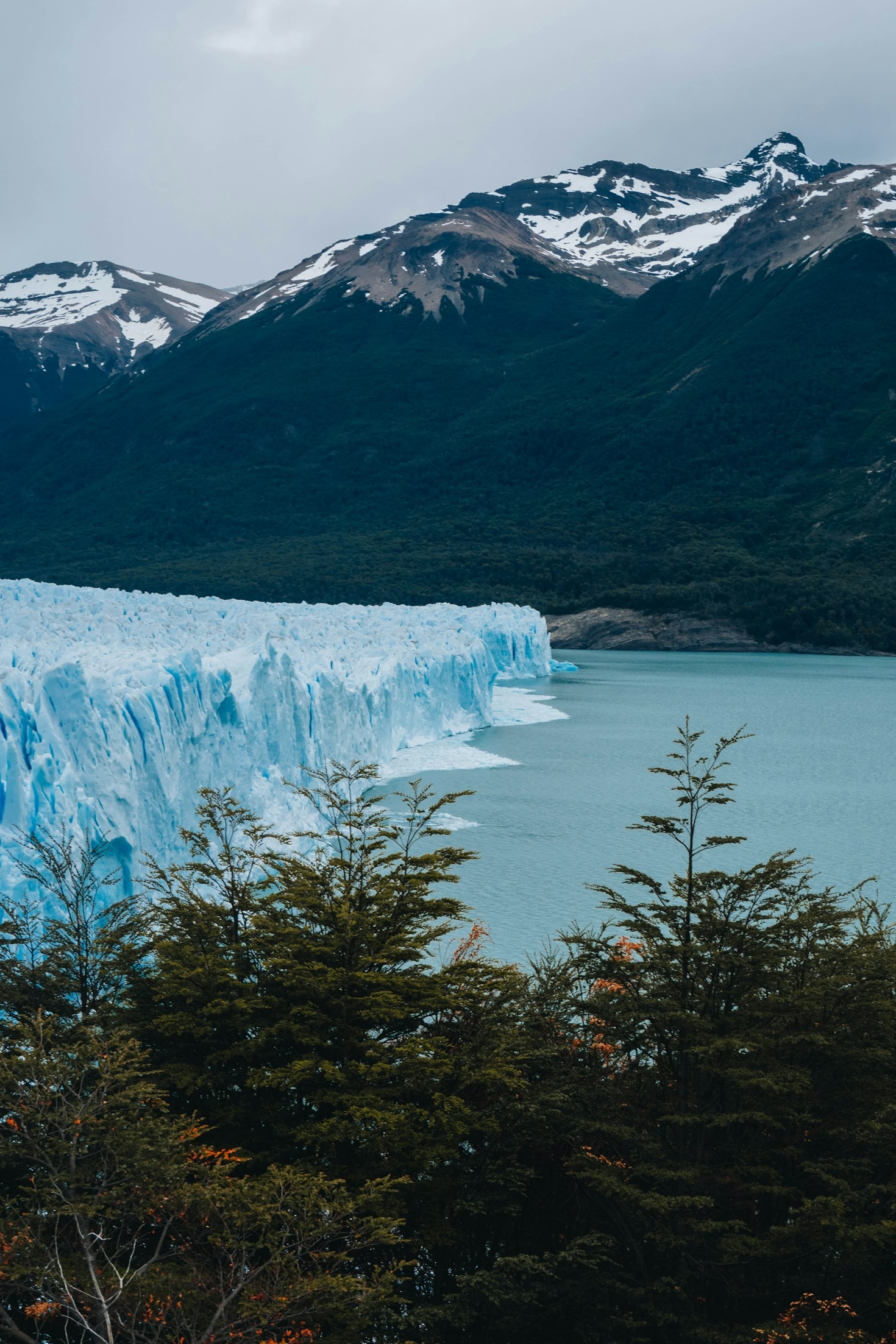 Estrategias clave para proyectos exitosos en Patagonia